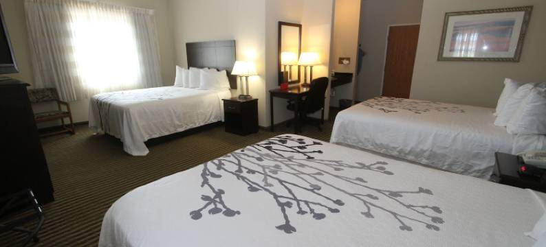 包曼套房酒店(Bowman Inn and Suites)图片