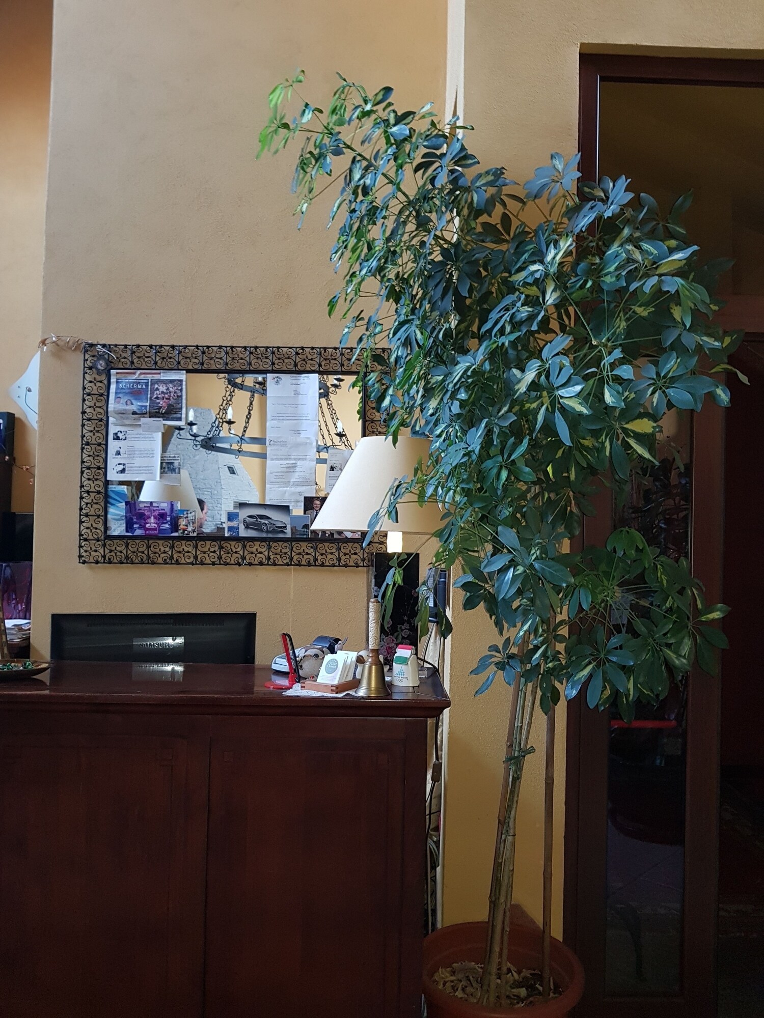 Hotel Damian Park Hotel Delle MagnolieOver view