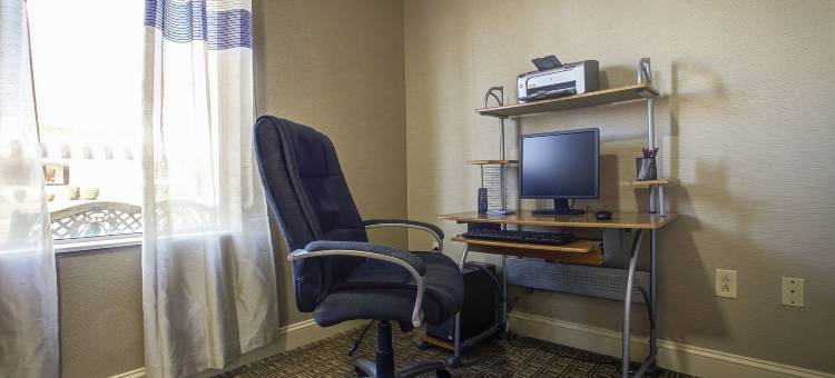 里奇蒙舒适套房酒店(Comfort Suites)图片