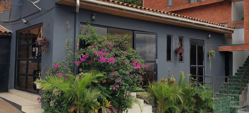 坎帕拉黑玫瑰(Rosa Negra Uganda)图片