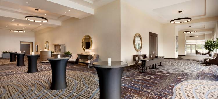 圣安东尼奥地标希尔顿安泊酒店(Embassy Suites by Hilton San Antonio Landmark)图片