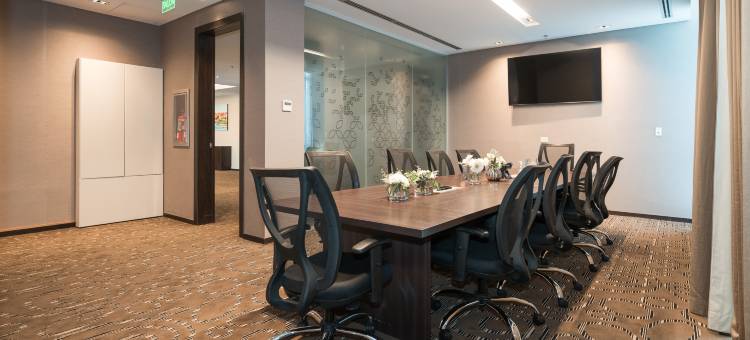 内乌肯希尔顿花园酒店(Hilton Garden Inn Neuquen)图片