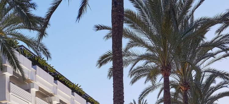 马贝拉阿兰达酒店(Alanda Marbella Hotel)图片