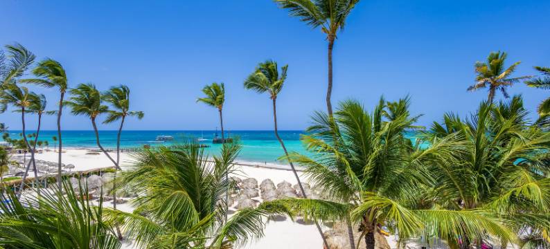 Punta Cana Beachfront with BBQ & Private Terrace图片