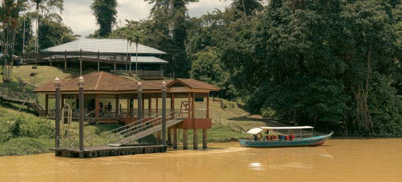 Sutera Horizon at Niah National Park图片