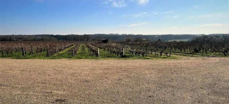 Historic Home Saint-Aignan by Lake图片