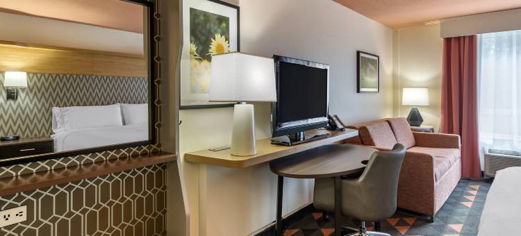 Holiday Inn 格威内特中心(Holiday Inn ATLANTA-GAS SOUTH ARENA AREA by IHG)图片