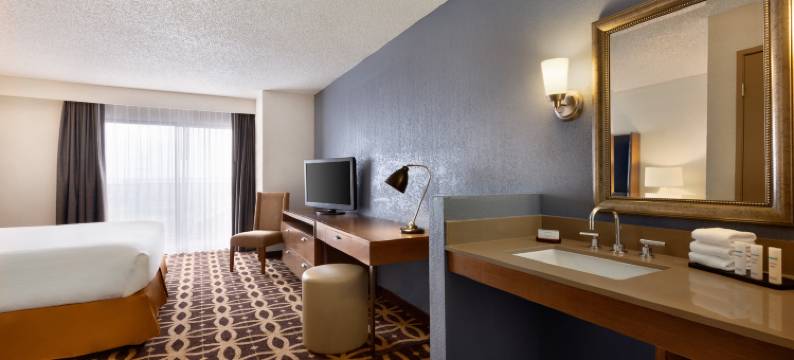 达拉斯沃斯堡国际机场南希尔顿Embassy Suites酒店(Embassy Suites by Hilton Dallas DFW Airport South)图片