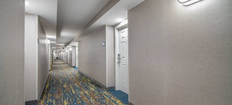 东奥罗拉欢朋酒店(Hampton Inn East Aurora)图片