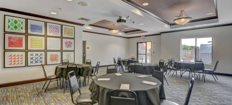 坦帕USF布希花园智选假日酒店及套房(Holiday Inn Express & Suites Tampa -USF-Busch Gardens)图片