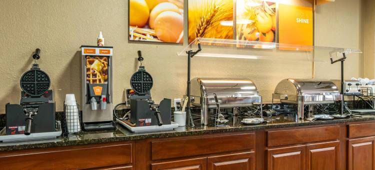 北莱克兰I-4舒适套房酒店(Comfort Inn & Suites Lakeland North I-4)图片