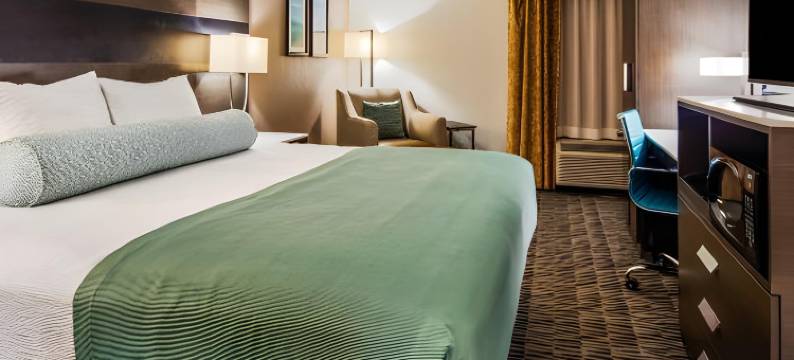 凯隆波因特酒店 - 近医疗中心(Clarion Pointe Near Medical Center)图片