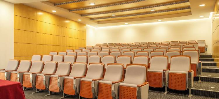 VIP行政亚速尔酒店(VIP Executive Azores Hotel)图片