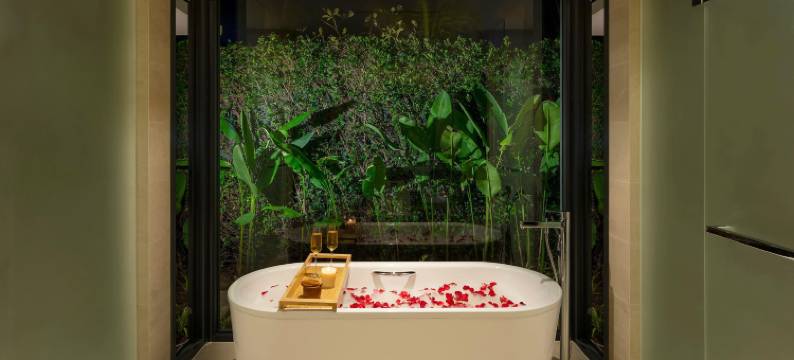 后川美利亚海滩度假酒店(Melia Ho Tram Beach Resort)图片