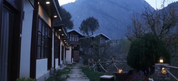 SnugBug 卡索尔(SnugBug Kasol)图片