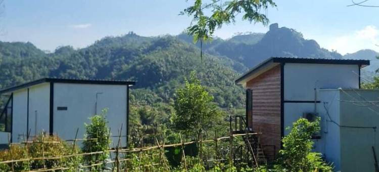 梅诺雷农场民宿萨米加卢库隆普罗戈(Menoreh Farm Stay Samigaluh Kulonprogo)图片