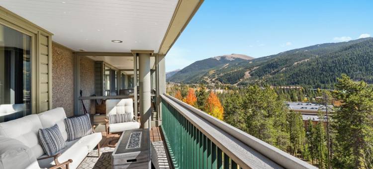 圣约翰2539(Saints John 2539)图片