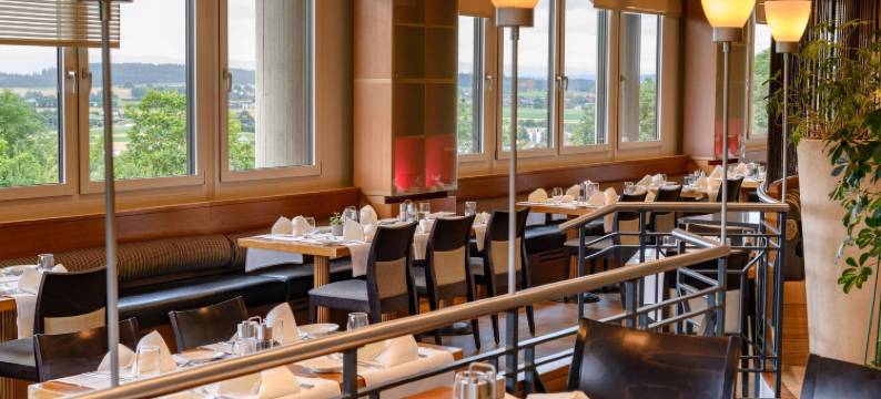 艾格今根瑞享酒店(Mövenpick Hotel Egerkingen)图片