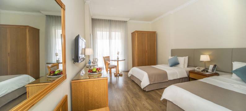 艾尔卡大都会酒店(AlQasr Metropole Hotel)图片