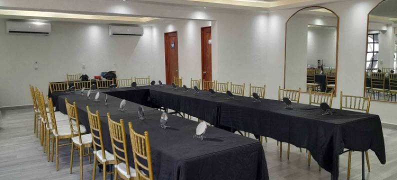 帝国萨尔蒂洛酒店(Hotel Imperial Saltillo)图片