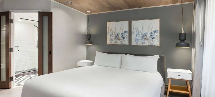 诺富特多伦多中心酒店(The Novotel Toronto Centre)图片