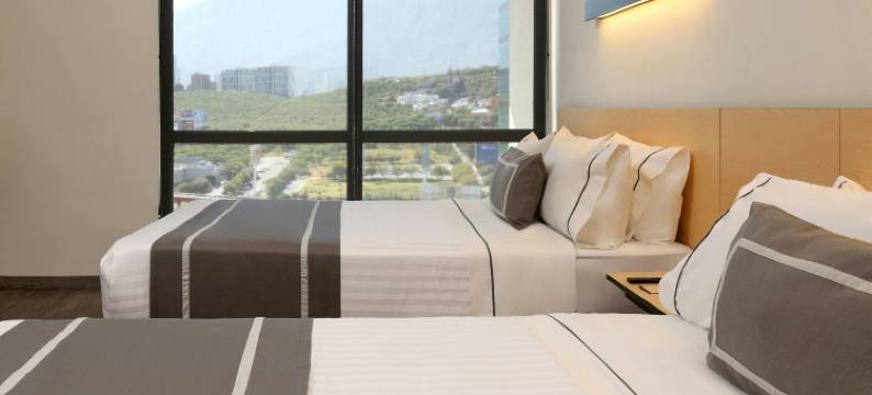 蒙特雷盖勒瑞斯万豪城市快捷普拉斯酒店(City Express Plus by Marriott Monterrey Galerias)图片