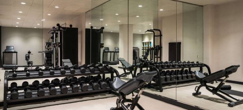 纽约索菲特酒店(Sofitel New York)图片