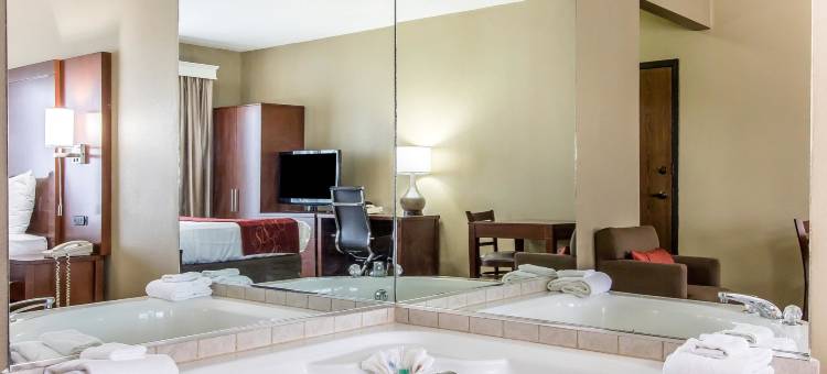 埃芬汉舒适套房酒店(Comfort Suites Effingham)图片