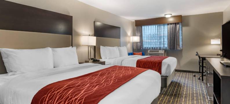 蒂加德-近华盛顿广场舒适套房酒店(Comfort Inn & Suites Tigard Near Washington Square)图片