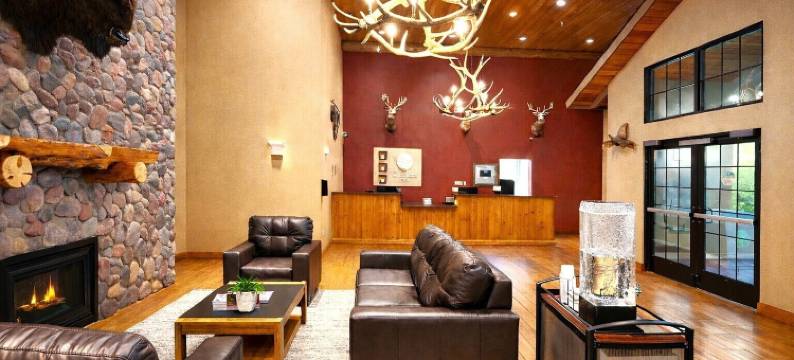 瓦通纳近医学中心舒适酒店(Comfort Inn Owatonna Near Medical Center)图片