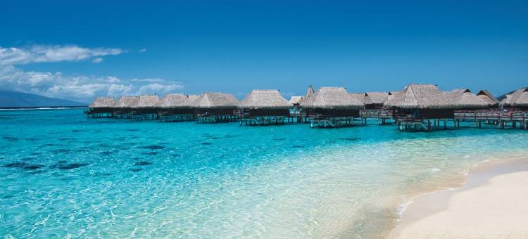 索菲特起亚索菲特奥拉莫雷阿岛海滩度假酒店(Sofitel Kia Ora Moorea Beach Resort)图片