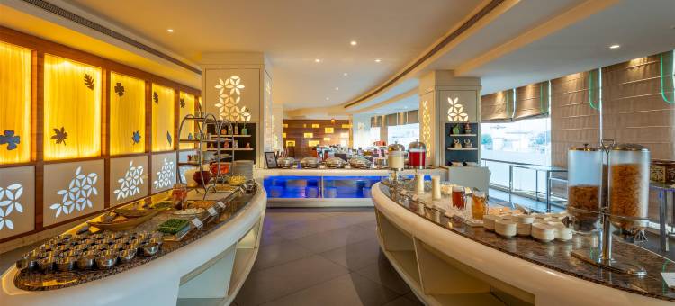乌代布尔丽筠酒店(Radisson Udaipur)图片