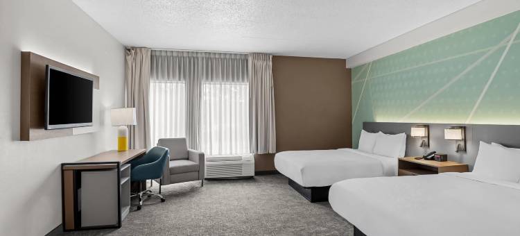 路斯格兰帝王之城附近舒适酒店(Comfort Inn Ruther Glen Near Kings Dominion)图片