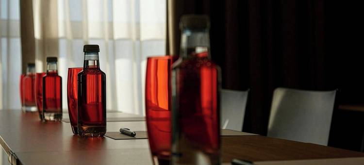 蒙卡达斯考特而酒店(Sercotel Ciutat de Montcada)图片