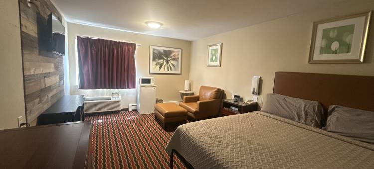 切萨宁套房酒店(Chesaning INN & Suites)图片