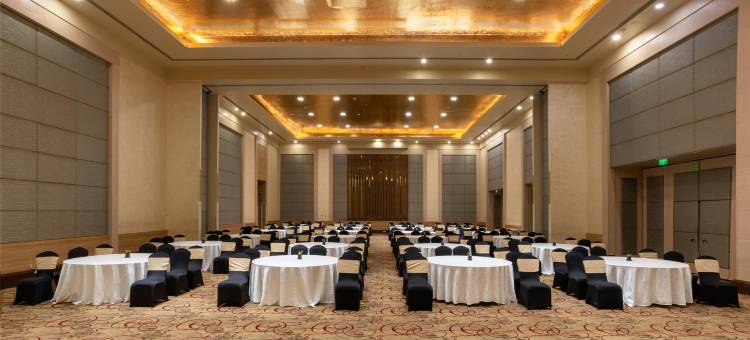 班加罗尔丽笙酒店(Radisson Blu Bengaluru Outer Ring Road)图片