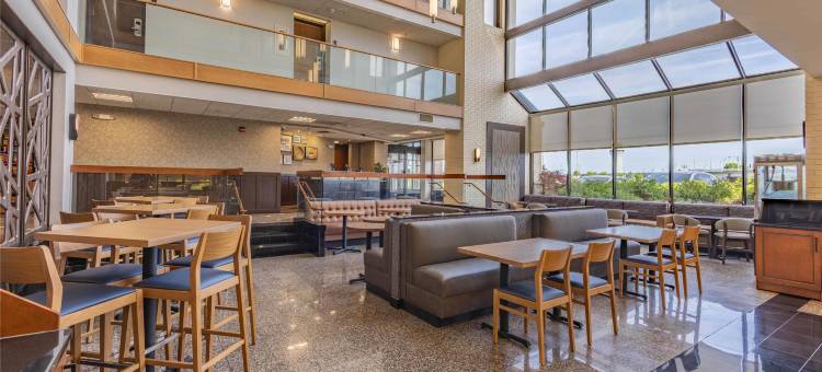 圣路易斯机场德鲁里套房酒店(Drury Inn & Suites St. Louis Airport)图片