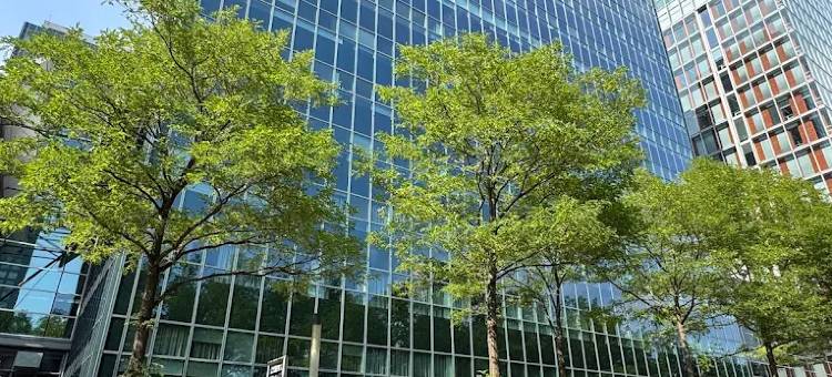 阿姆斯特丹世贸中心丘比克酒店(Qbic Amsterdam WTC)图片