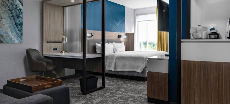 温切斯特SpringHill Suites酒店(SpringHill Suites Winchester)图片