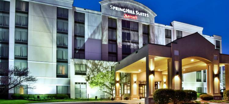 芝加哥西南布尔里奇/欣斯代尔SpringHill Suites 酒店(SpringHill Suites by Marriott Chicago Southwest at Burr Ridge/Hinsdale)图片
