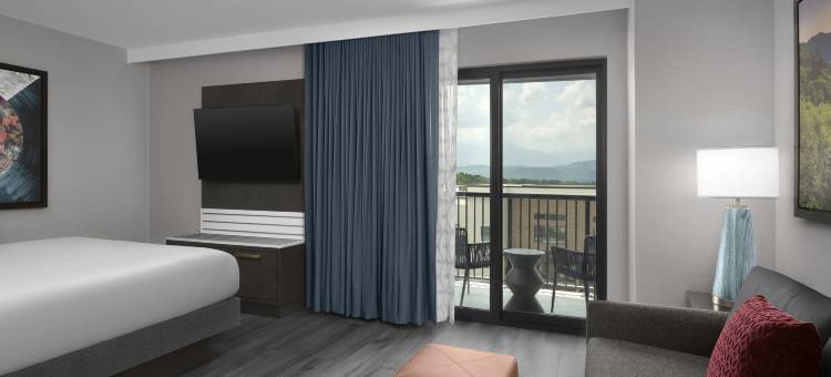 希尔顿大使套房鸽子谷度假村(Embassy Suites by Hilton Pigeon Forge Resort)图片