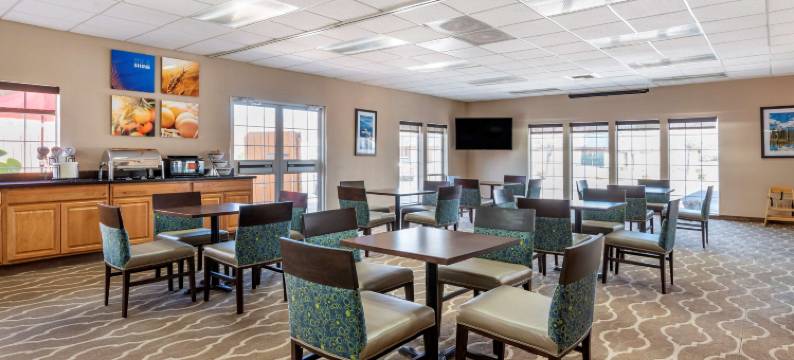 舒适套房酒店(Comfort Inn & Suites)图片