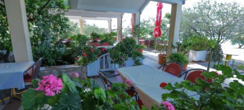 罗地亚住宿(Pansion Croatia)图片