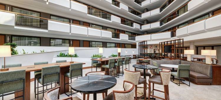 希尔顿安泊酒店-泰森斯角(Embassy Suites by Hilton Tysons Corner)图片