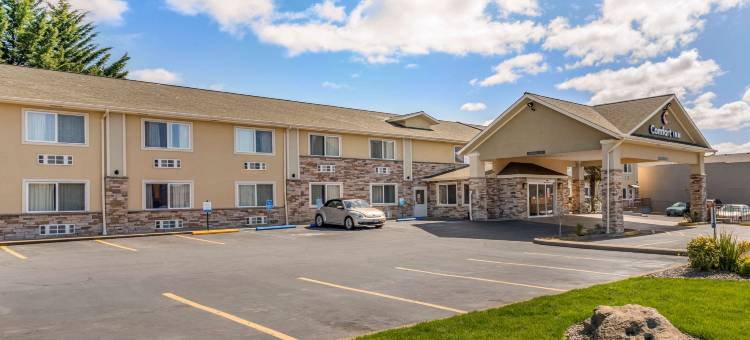 舒适酒店-罗斯堡(Comfort Inn Roseburg)图片