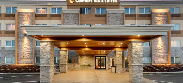 蒂加德-近华盛顿广场舒适套房酒店(Comfort Inn & Suites Tigard Near Washington Square)图片