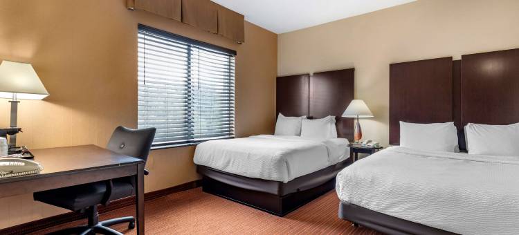 DFW机场西尤里斯贝斯特韦斯特优质酒店(Best Western Plus DFW Airport West Euless)图片