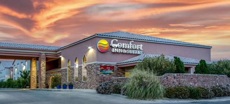 I-25 舒适套房酒店 - 近美国太空港(Comfort Inn & Suites I-25 Near Spaceport America)图片