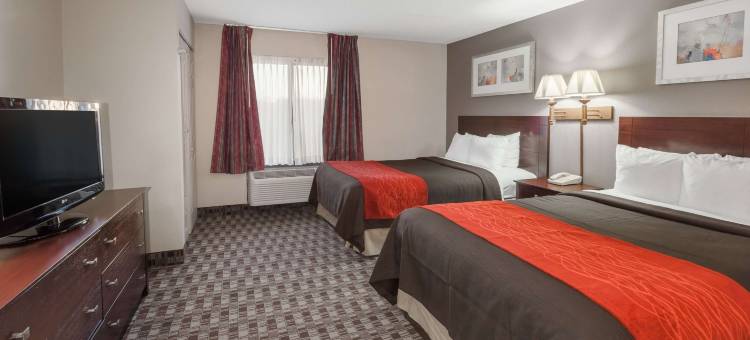 Wingate by Wyndham Canton/Hall of Fame图片