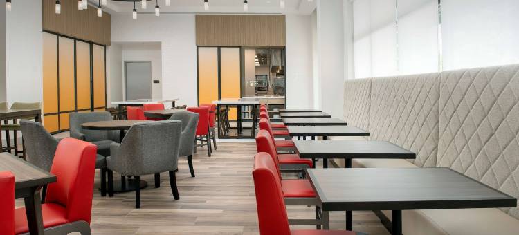 佛罗里达奥兰多市区希尔顿花园酒店(Hilton Garden Inn Orlando Downtown)图片